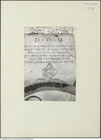 Vorderseite von bh217601_recto