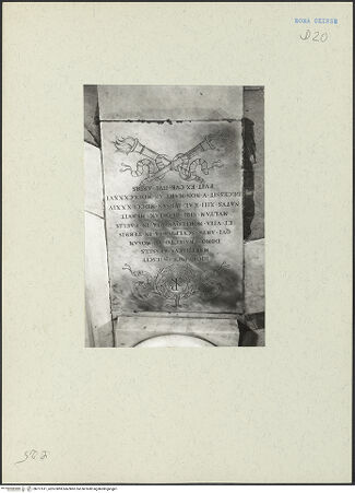 Vorderseite von bh217611_recto