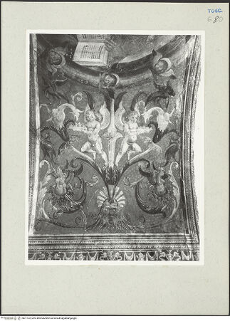 Vorderseite von bh217762_recto