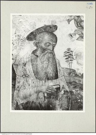 Vorderseite von bh217763_recto