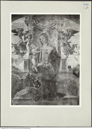 Vorderseite von bh217765_recto