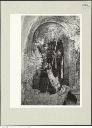 Vorderseite von bh217888_recto