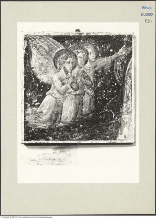 Vorderseite von bh217896_recto