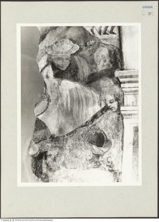 Vorderseite von bh218039_recto