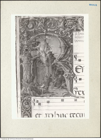 Vorderseite von bh218165_recto