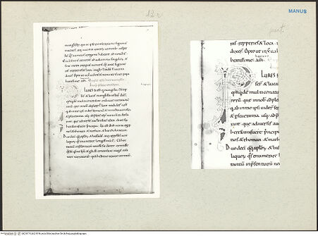 Vorderseite von bh218174_bh218196_recto