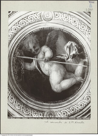 Vorderseite von bh218208_recto