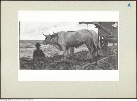 Vorderseite von bh218348_recto