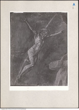 Vorderseite von bh218445_recto