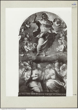 Vorderseite von bh218480_recto