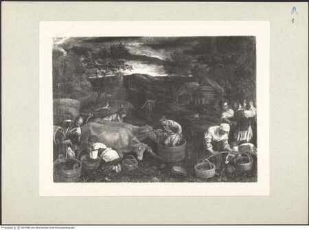 Vorderseite von bh218580_recto