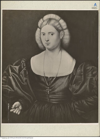 Vorderseite von bh218626_recto