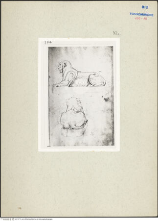 Vorderseite von bh218773_recto