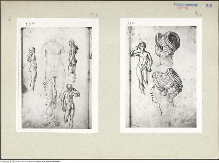 Vorderseite von bh218781_bh218782_recto