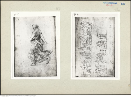 Vorderseite von bh218785_bh218786_recto