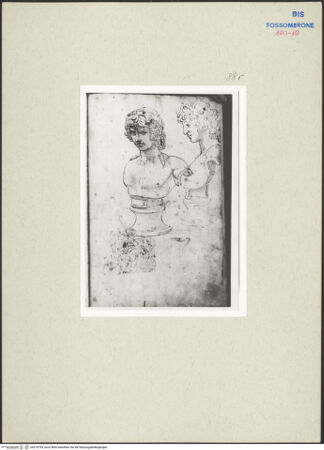 Vorderseite von bh218793_recto