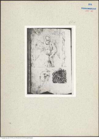 Vorderseite von bh218796_recto