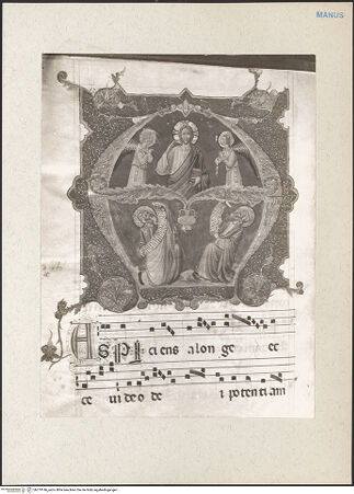 Vorderseite von bh219146_recto