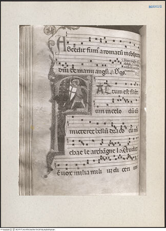 Vorderseite von bh219147_recto