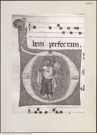 Vorderseite von bh219149_recto