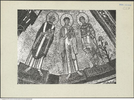 Vorderseite von bh219242_recto