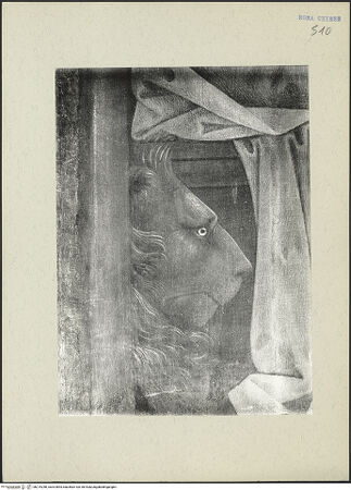 Vorderseite von bh219258_recto