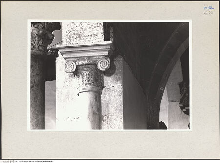 Vorderseite von bh219536_recto