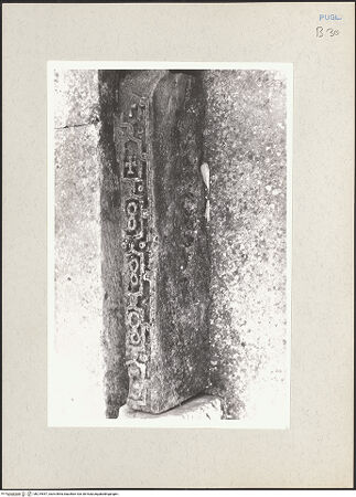 Vorderseite von bh219557_recto