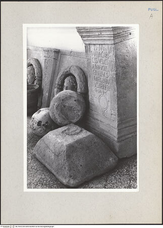 Vorderseite von bh219559_recto