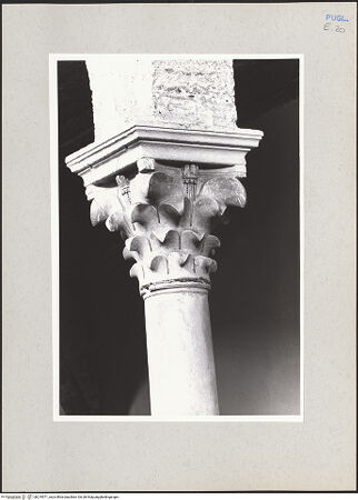 Vorderseite von Claussen, Peter Cornelius [https://www.deutsche-digitale-bibliothek.de/content/lizenzen/rv-fz/] Kapitelle der SüdarkadeKapitell 5 - Gesamtansicht, bh219571_recto. Foto: Claussen, Peter Cornelius.