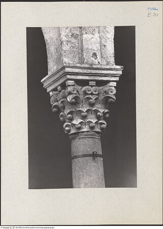 Vorderseite von Claussen, Peter Cornelius [https://www.deutsche-digitale-bibliothek.de/content/lizenzen/rv-fz/] Kapitelle der NordarkadeKapitell 5 - Gesamtansicht, bh219583_recto. Foto: Claussen, Peter Cornelius.