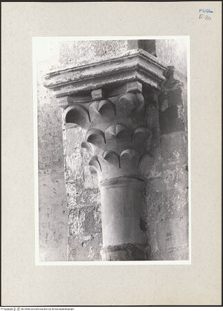 Vorderseite von Claussen, Peter Cornelius [https://www.deutsche-digitale-bibliothek.de/content/lizenzen/rv-fz/] Kapitelle der NordarkadeKapitell 1 - Gesamtansicht, bh219588_recto. Foto: Claussen, Peter Cornelius.