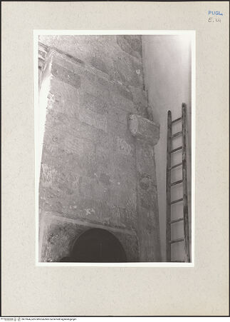 Vorderseite von Claussen, Peter Cornelius [https://www.deutsche-digitale-bibliothek.de/content/lizenzen/rv-fz/] CattedraleNordseitenschiff und Pfeiler der nördlichen Arkade - Nordwestlicher Wandpfeiler, oberer Teil, Detail des alten Wandpfeiler, bh219646_recto. Foto: Claussen, Peter Cornelius.