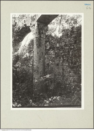 Vorderseite von bh219938_recto