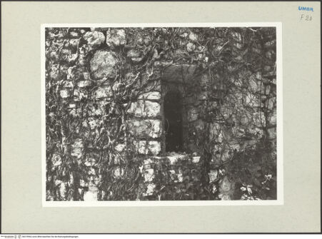 Vorderseite von bh219944_recto