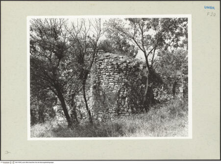 Vorderseite von bh219945_recto