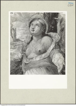 Vorderseite von bh219947_recto