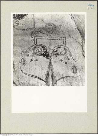 Vorderseite von bh219981_recto