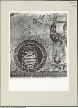 Vorderseite von bh219986_recto