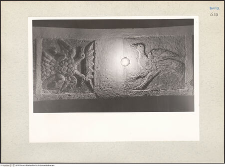 Vorderseite von bh220166_recto