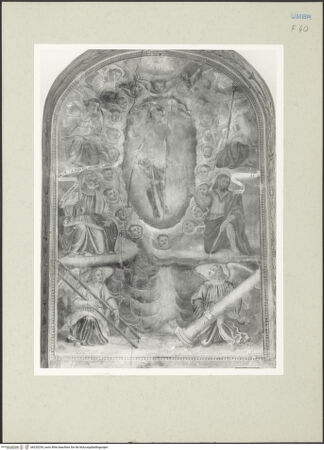 Vorderseite von bh220254_recto