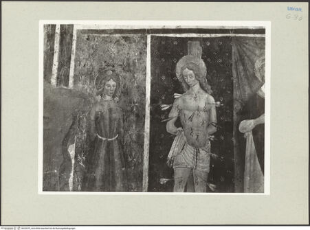 Vorderseite von bh220275_recto