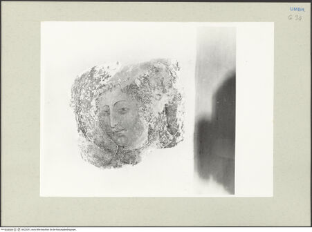 Vorderseite von bh220291_recto