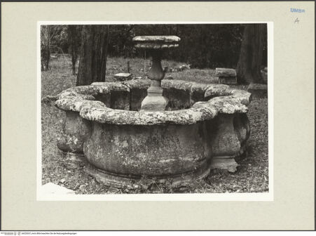 Vorderseite von bh220337_recto