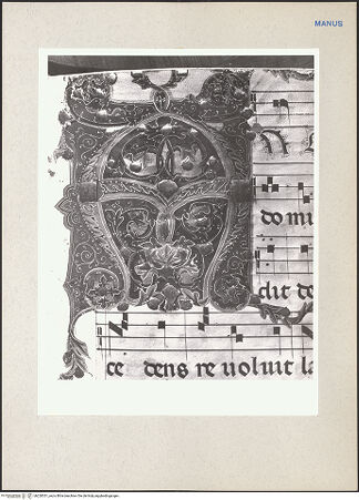 Vorderseite von bh220351_recto