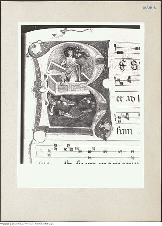 Vorderseite von bh220353_recto