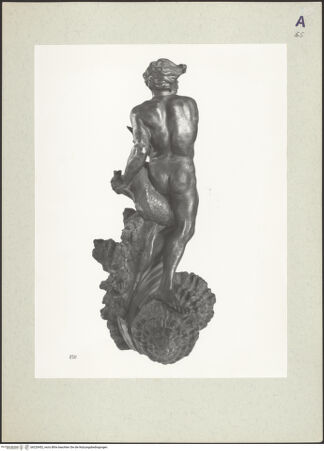 Vorderseite von bh220452_recto