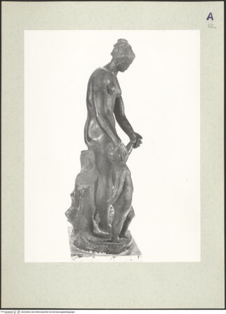 Vorderseite von bh220466_recto