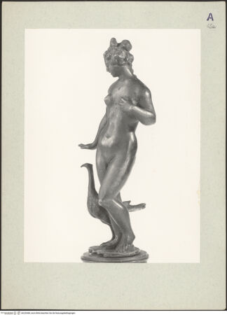 Vorderseite von bh220484_recto