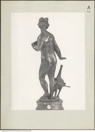 Vorderseite von bh220485_recto